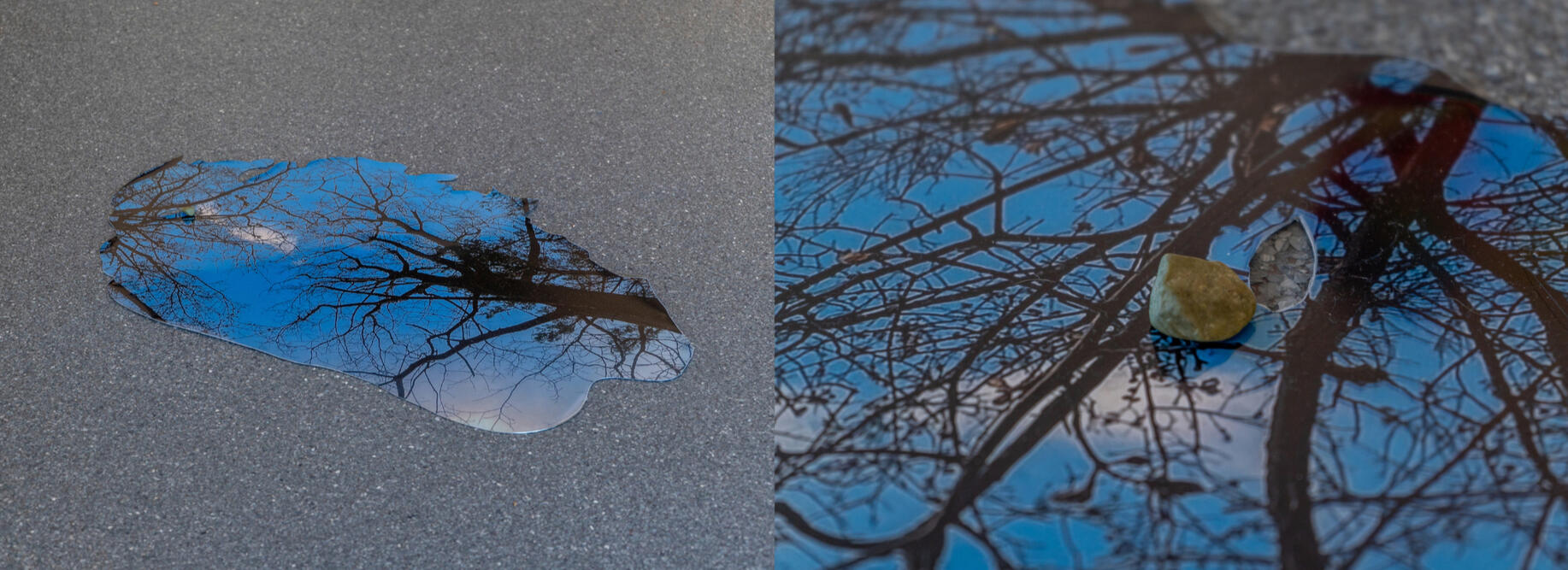 echo sill, pigment print on transparency film, mounted on laser cut mirror polish stainless steel, 25 x 39 inches, 2023